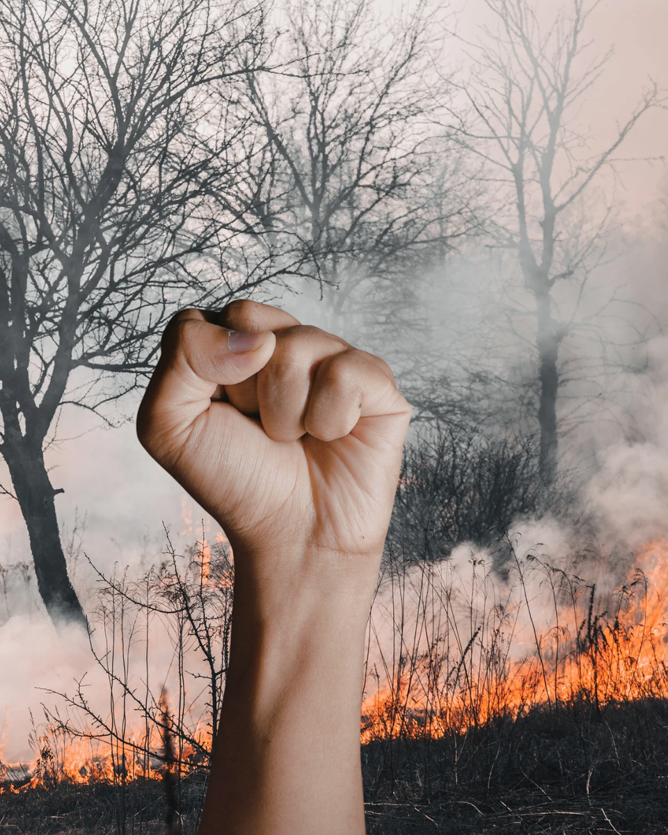 A white hand making a tight fist superimposed over a low-burning forest fire, flames orange and licking against the burnt black plants.
